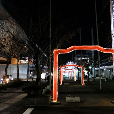 Kyoto, Kyocera Building Christmas Illuminations