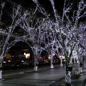 Kyoto, Kyocera Building Christmas Illuminations 2