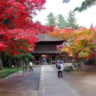 Heirin-ji (Tokyo), Maple tree alley during the koyo period and Sanmon Gate