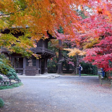 Heirin-ji Temple, Saitama, Sanmon Gate and red maple trees
