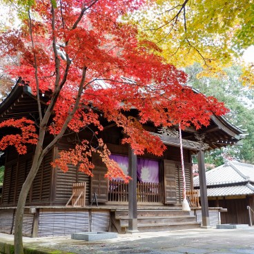 Heirin-ji Temple, Saitama, Pavilion in autumn 2