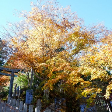 Stairway to Musashi-Mitake-jinja Shrine in autumn 2