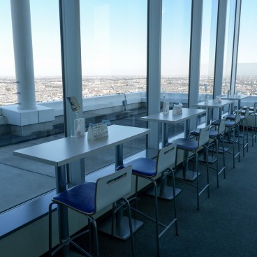 I-Link Tower, Chiba, View on Tokyo from the observation deck 1