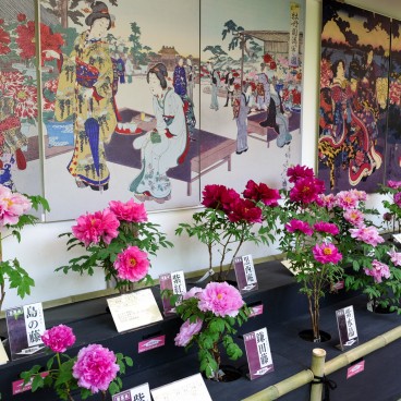 Yushi-en Garden, Peony flowers decorations
