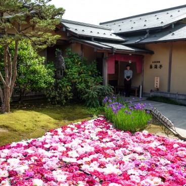 Yushi-en Garden, Arrangements of peony flowers 4
