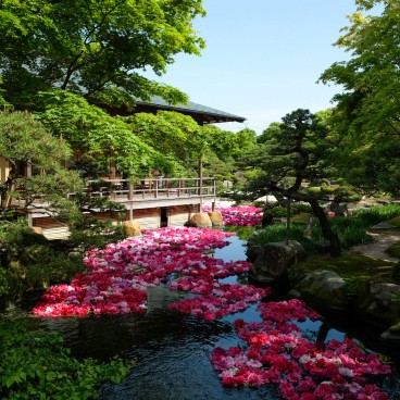 Yushi-en Garden, Peony flowers on the water