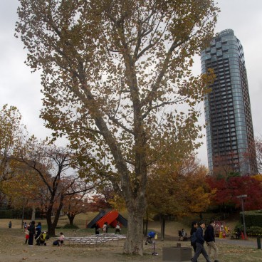Tokyo Midtown (Akasaka), Hinokicho Park in autumn 2