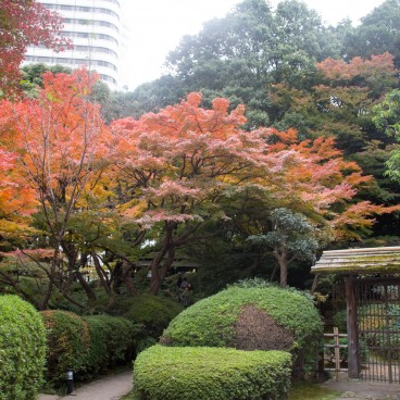 Akasaka, The New Otani Hotel, Japanese Garden 3