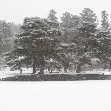 Hiraizumi, Motsu-ji 2