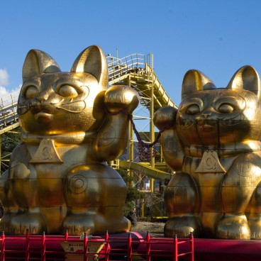 Fuji-Q Highland Amusement Park 2