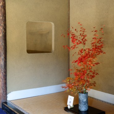 Murin-an, Kyoto, garden in autumn