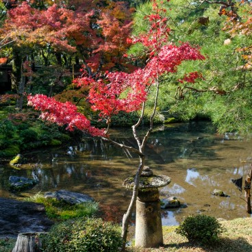 Murin-an, Kyoto, garden in autumn 3