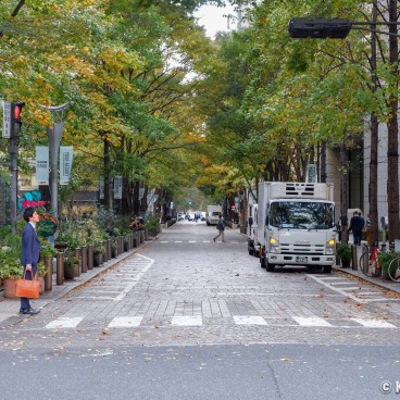 Marunouchi, Naka-dori Avenue