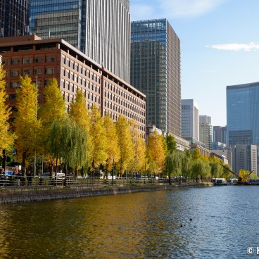 Marunouchi (Tokyo, Kanto), View on the Imperial castle moat
