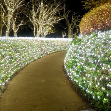 Enoshima, Shonan no Hoseki Winter Illumination Festival 9