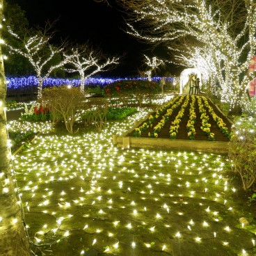 Enoshima, Shonan no Hoseki Winter Illumination Festival 10