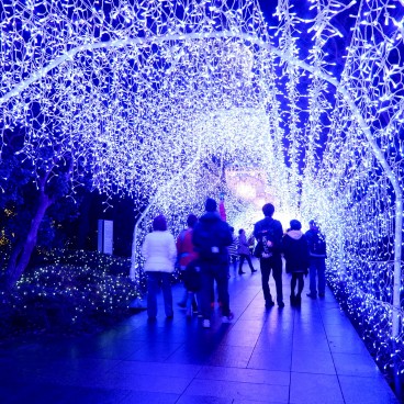 Enoshima, Shonan no Hoseki Winter Illumination Festival 3