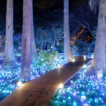 Enoshima, Shonan no Hoseki Winter Illumination Festival 4