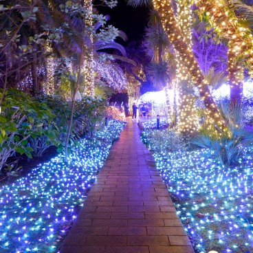 Enoshima, Shonan no Hoseki Winter Illumination Festival 5
