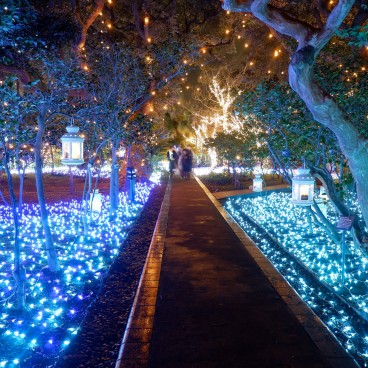 Enoshima, Shonan no Hoseki Winter Illumination Festival 6
