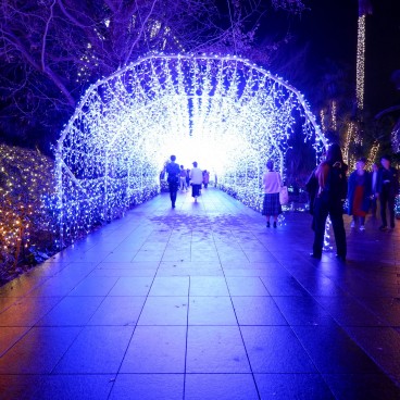 Enoshima, Shonan no Hoseki Winter Illumination Festival