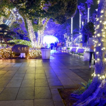 Enoshima, Shonan no Hoseki Winter Illumination Festival 7