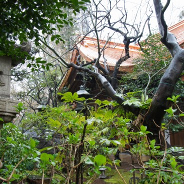 Tokyo, Atago-jinja 7