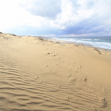 Tottori Sand Dunes 4