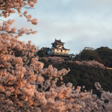 Iwakuni, Castle