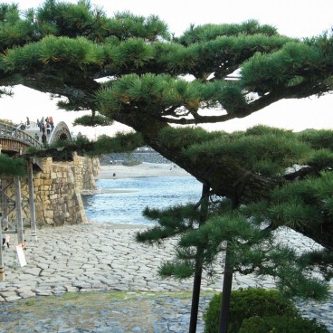 Iwakuni, Kintai-Kyo Bridge 5