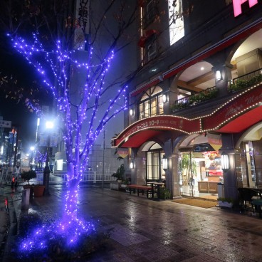 Kobe Luminarie, Winter Light Festival, pedestrian access