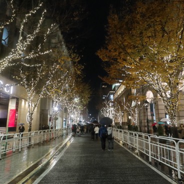 Kobe Luminarie, Winter Light Festival, pedestrian access 2