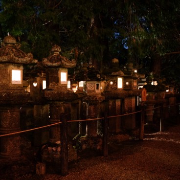 Nara, Kasuga Taisha, Setsubun Mantoro, Stone Lanterns 3