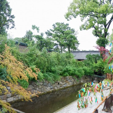 Kitano Tenmangu, Bamboo decorations to celebrate Tanabata on July 7 2