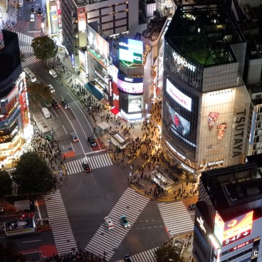 Shibuya Sky Observatory (Scramble), View on Shibuya Crossing