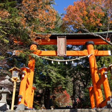 Arakurayama Sengen Shrine, Torii gate