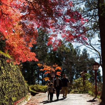 Arakurayama Sengen Shrine, Shrine precincts in autumn