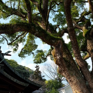 Onomichi, Temple Walk 3