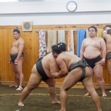 Tokyo, Ryogoku, Sumo training in Arashio Beya (a bout on the dohyo) 2