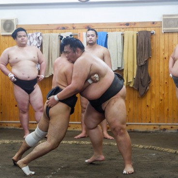 Tokyo, Ryogoku, Sumo training in Arashio Beya