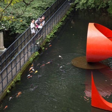 Hakone Open Air Museum, Sculpture by Marta Pan (Floatting Sculpture 3)