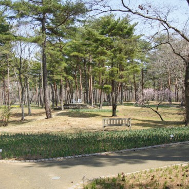 Hitachi Seaside park (Ibaraki)