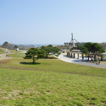 Hitachi Seaside park (Ibaraki) 4