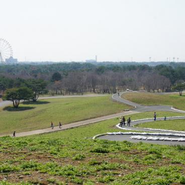 Hitachi Seaside park (Ibaraki) 5
