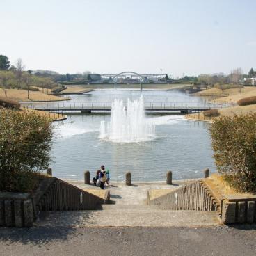 Hitachi Seaside park (Ibaraki) 7