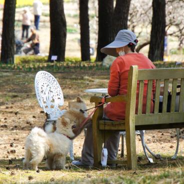 Hitachi Seaside park (Ibaraki), A visitor and her dogs