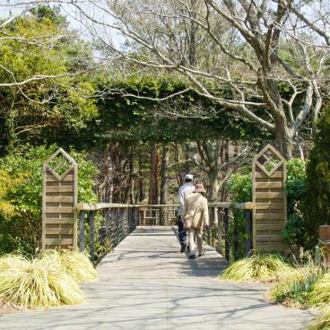Hitachi Seaside park (Ibaraki) 2
