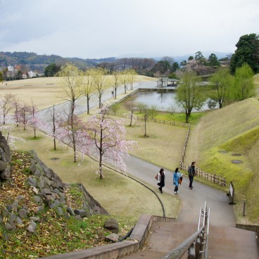 Kanazawa Castle, Cherry trees in the park 3