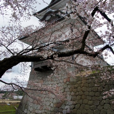 View on Kanazawa Castle and cherry trees