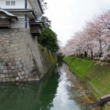 View on Kanazawa Castle and cherry trees 2